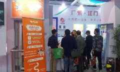 2016中國電商博覽會，江門盈信創展電商獲贊