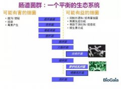瑞典拜奧益生菌 第17屆CBME中國孕嬰童展、童裝展
